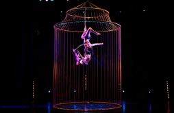 Cage Lazer Team Building Cage Lazer Team Building
